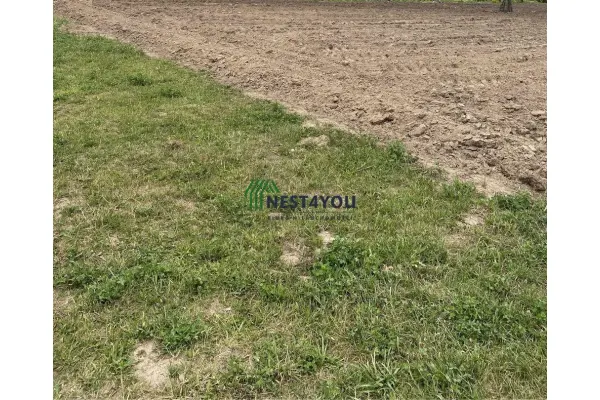 Duchnice, Ożarów Mazowiecki, Działka na sprzedaż